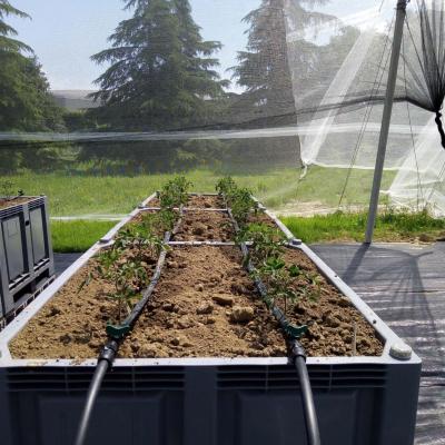 Planting