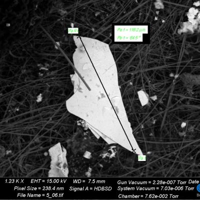 Microplastica